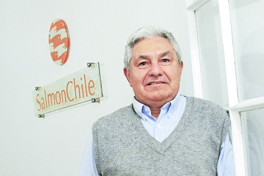 Presidente de SalmonChile en entrevista con La Tercera: “La industria del salmón es parte de la solución”