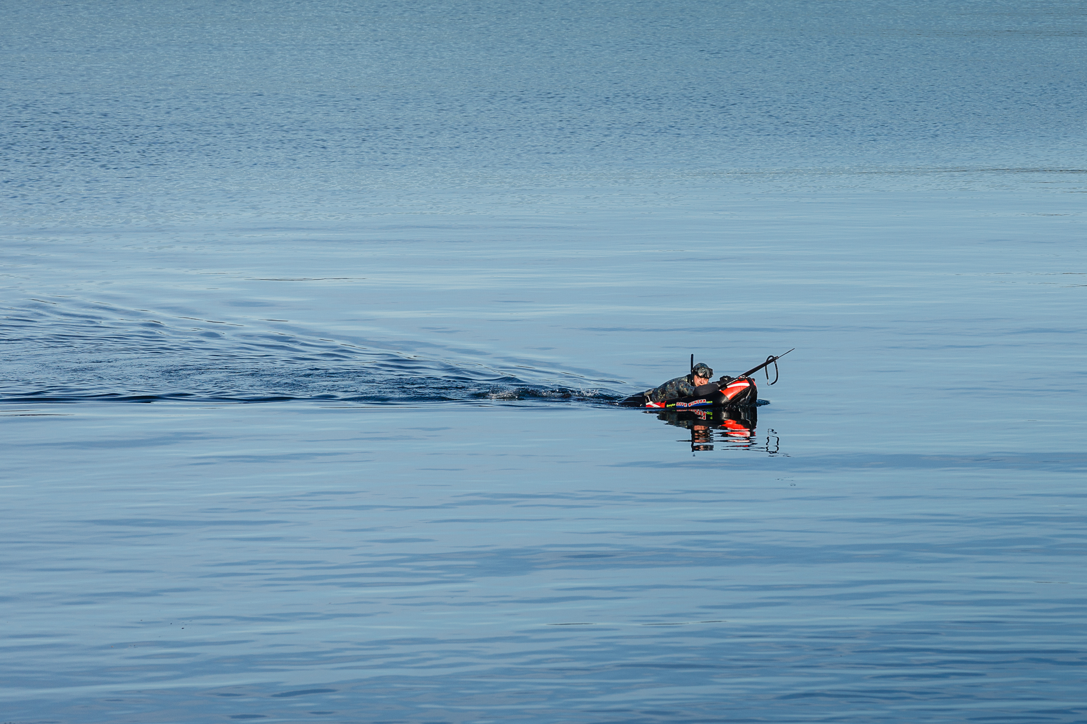 Buceo seguro: SalmonChile da a conocer avance en acciones preventivas