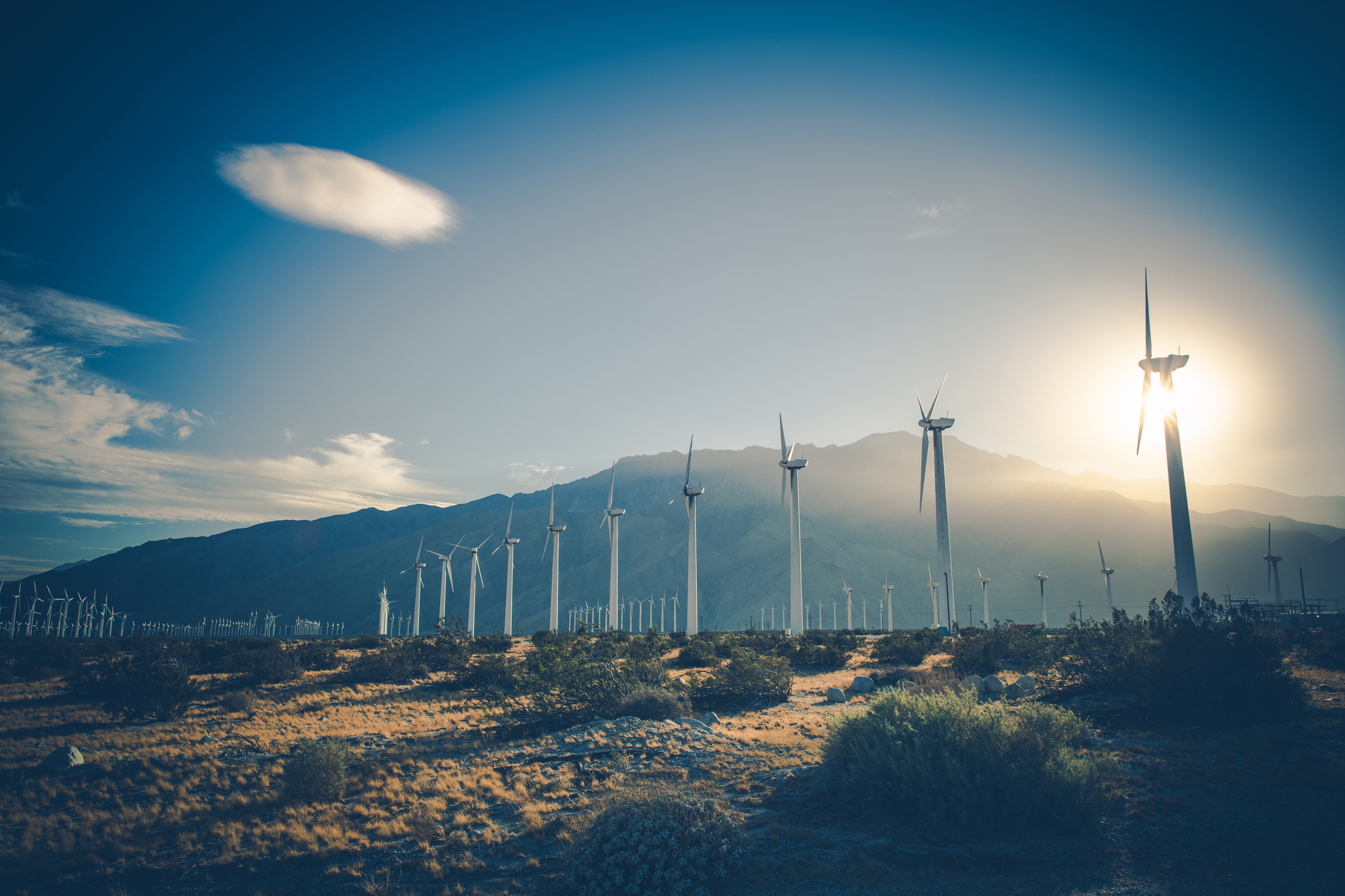 Blumar y sus filiales usarán un 100% de energías limpias en sus procesos productivos
