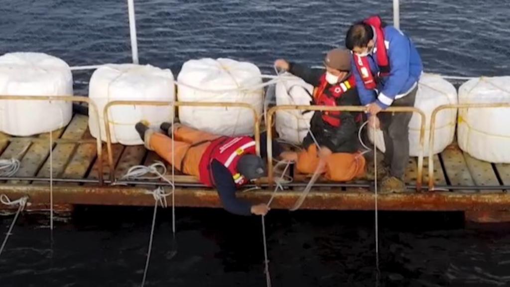 Aysén: inédito proyecto de salmoneros y la academia permitirá aportar al combate del cambio climático