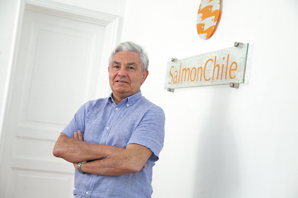 Columna | Sustentabilidad: de la declaración a la acción