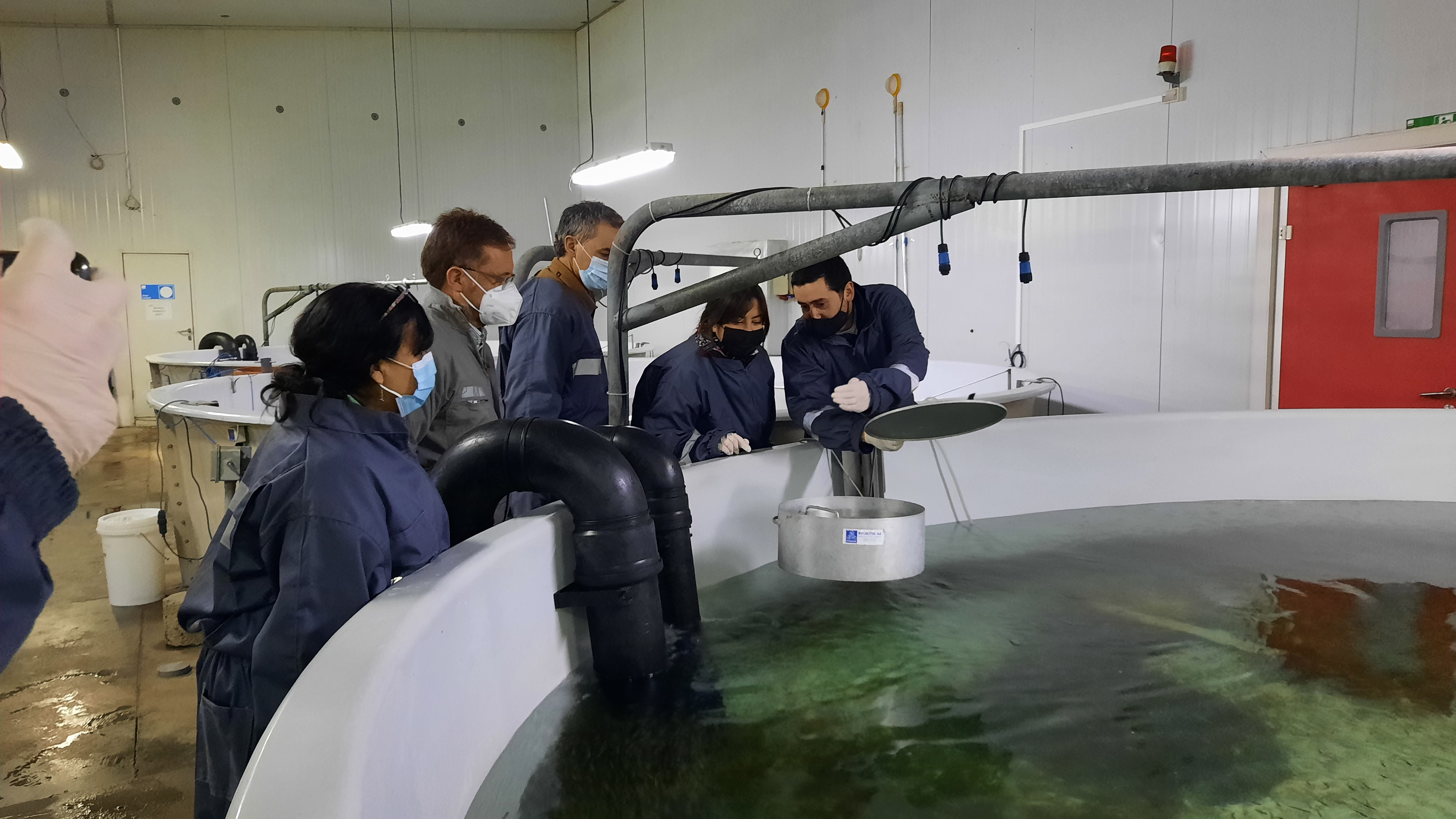 Seremi del Trabajo de La Araucanía visitó piscicultura Los Chilcos para reforzar la relación público-privada con la salmonicultura
