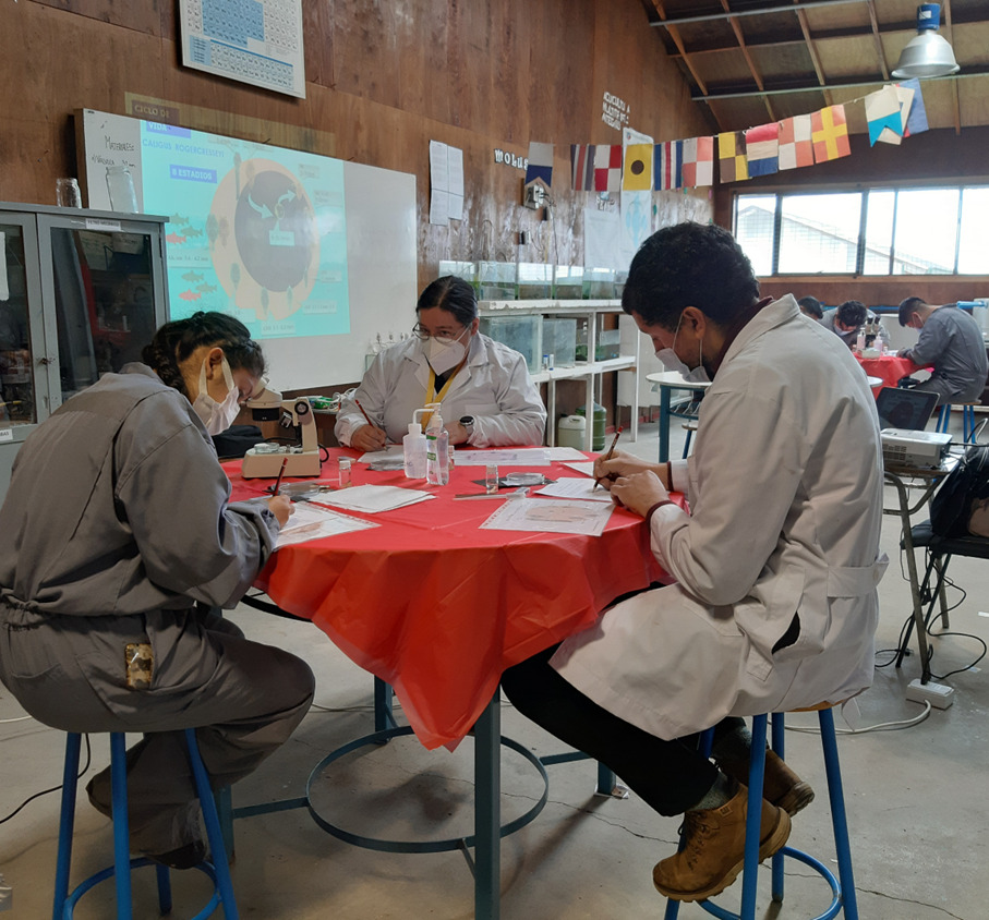 Más de 700 estudiantes han participado en capacitaciones de educación técnica profesional en la zona sur austral