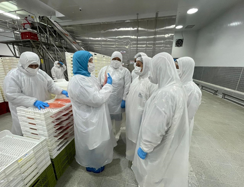 SalmonChile lanza cuarta versión de programa que ha capacitado a más de 750 estudiantes de educación técnico profesional