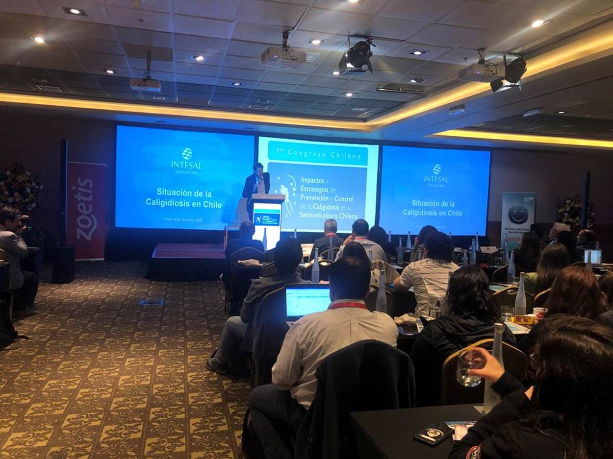 Expertos y académicos se reunirán en congreso nacional sobre Caligus en Puerto Varas
