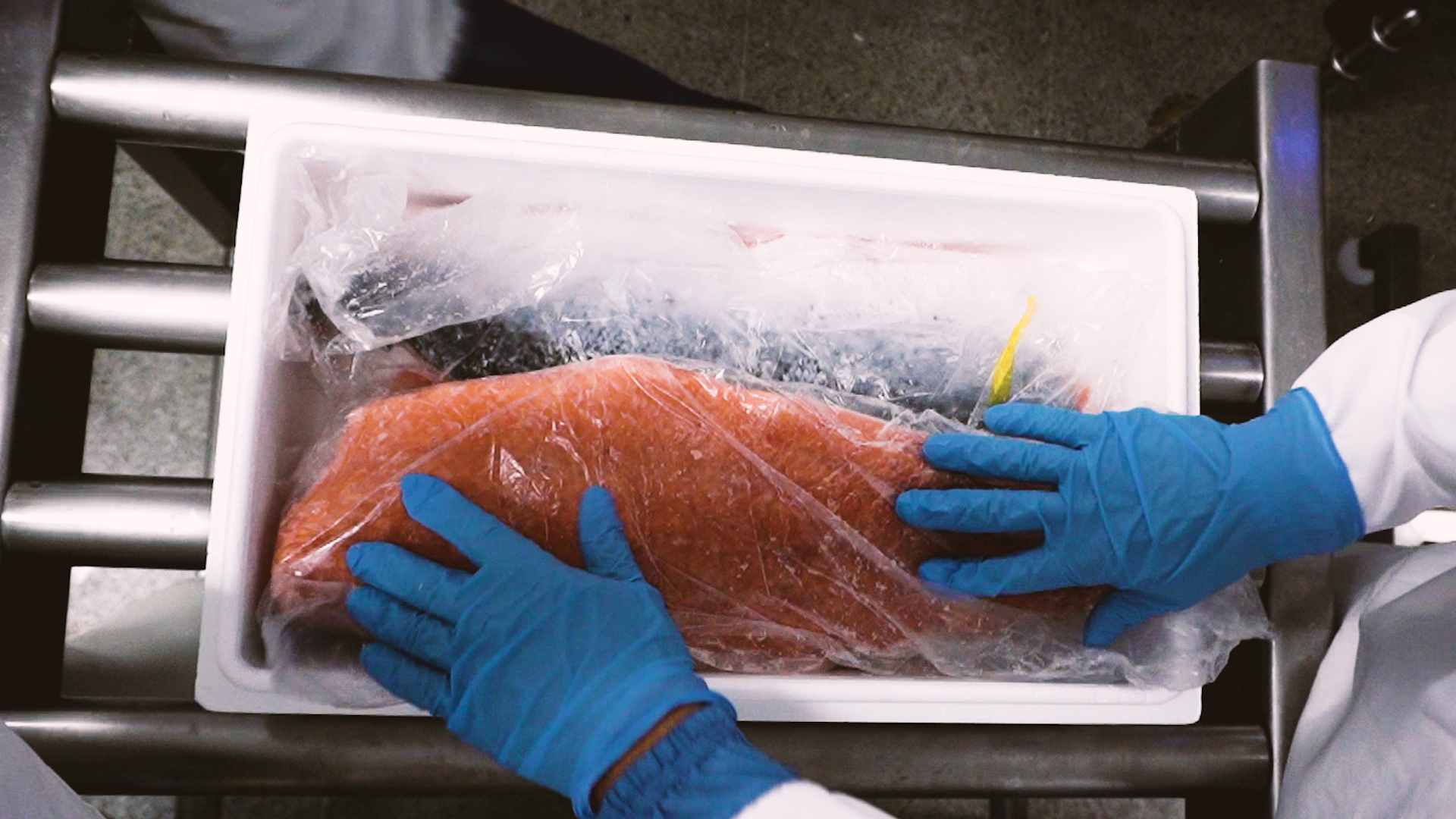 SalmonChile valora aprobación de informe de comisión investigadora de robo de salmones