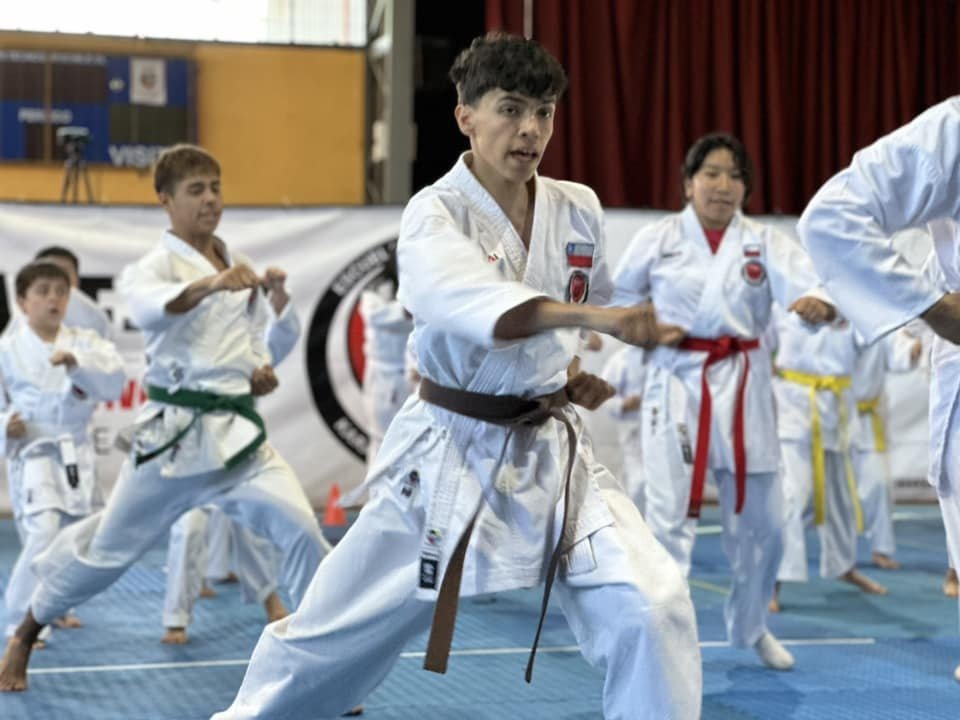 SalmonChile impulsa el deporte en el Campeonato Regional de Artes Marciales Araucanía 2024