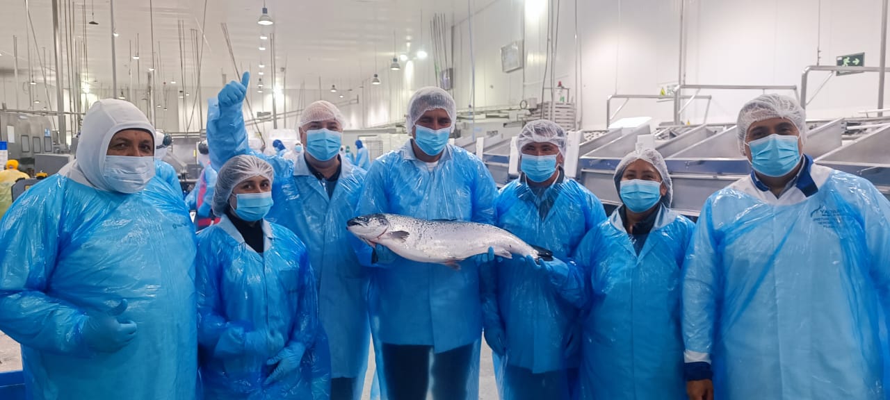 Empresas socias de SalmonChile reciben al Gobernador Regional de Los Lagos en recorrido por plantas salmoneras