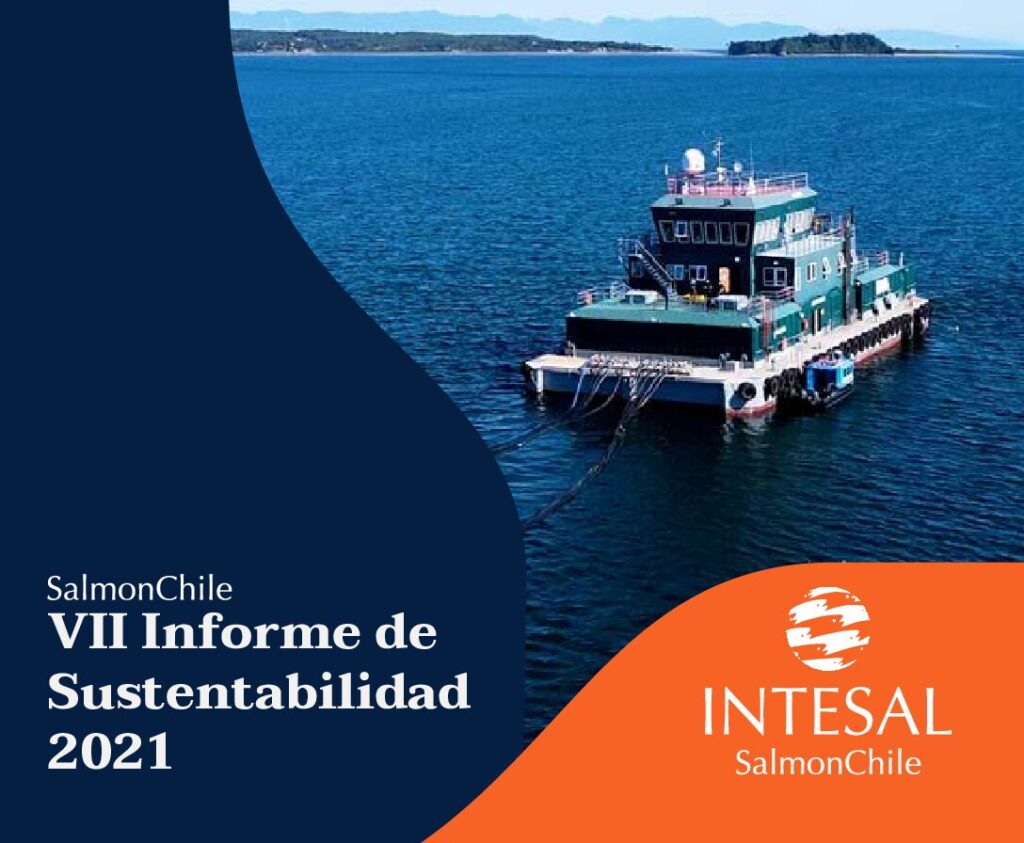 VII Informe de Sustentabilidad 2021