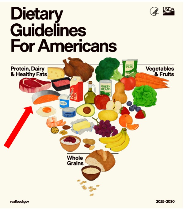 Estados Unidos recomienda mayor consumo de salmón para combatir la crisis de salud norteamericana